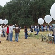Balloon Fest 2008