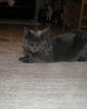 PB160425.JPG