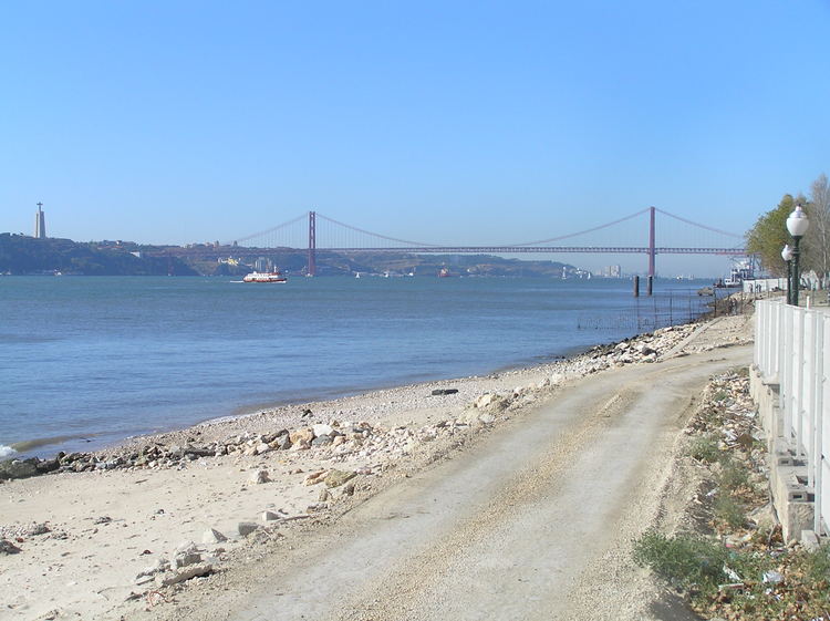 PA250320.JPG