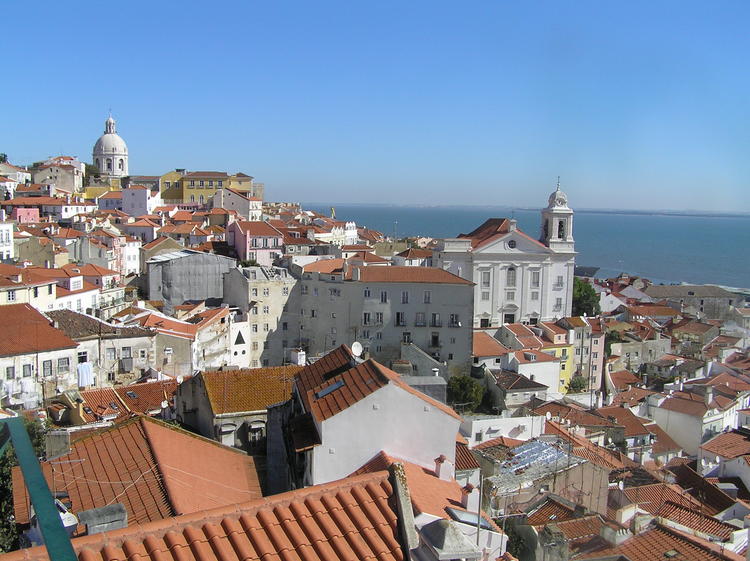 PA250322.JPG