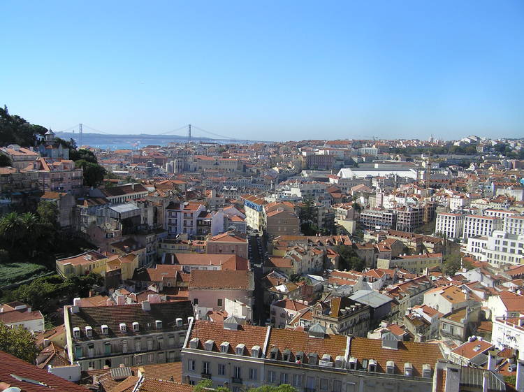 PA250325.JPG