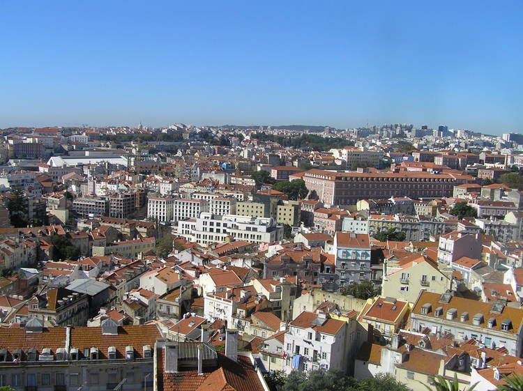 PA250326.JPG