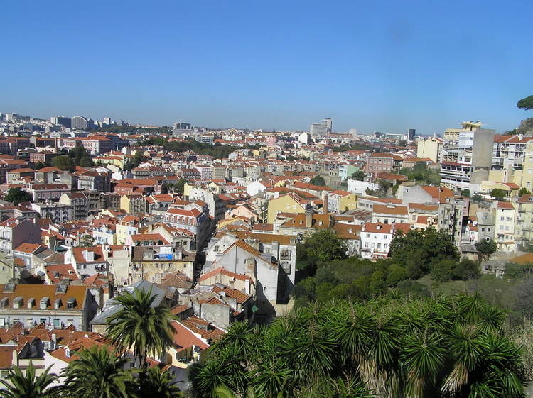 PA250328.JPG