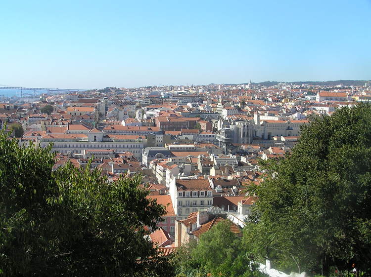 PA250332.JPG