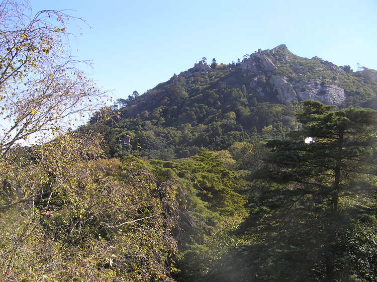 PA260338.JPG