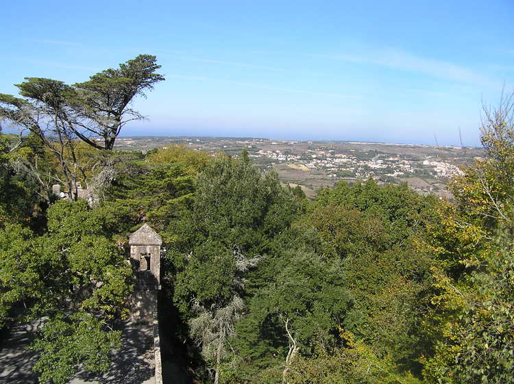 PA260339.JPG