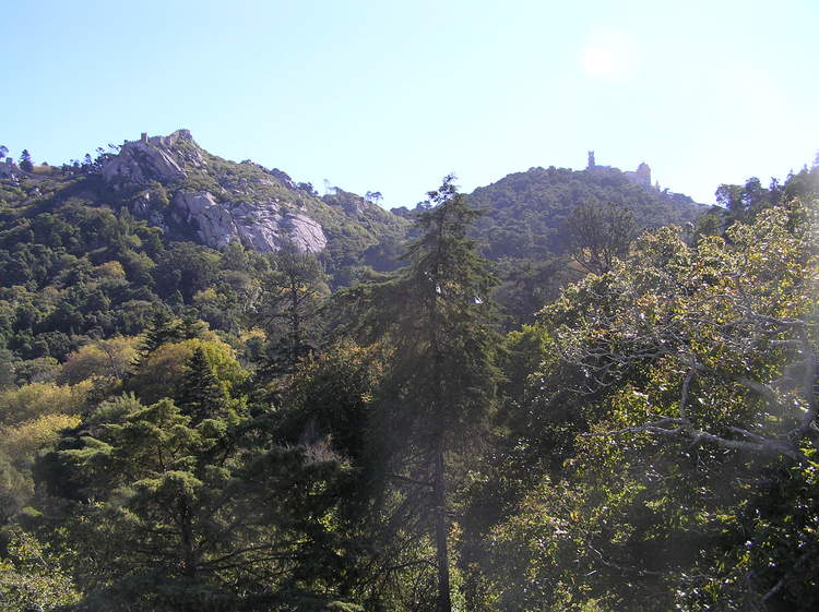 PA260347.JPG