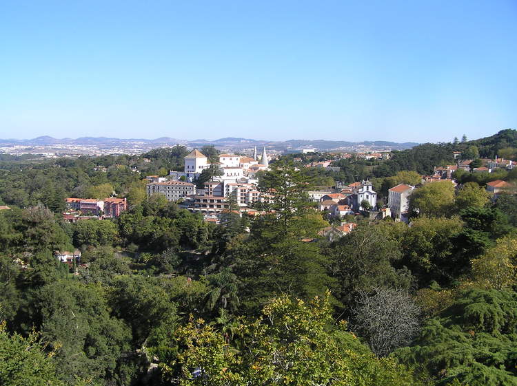 PA260349.JPG