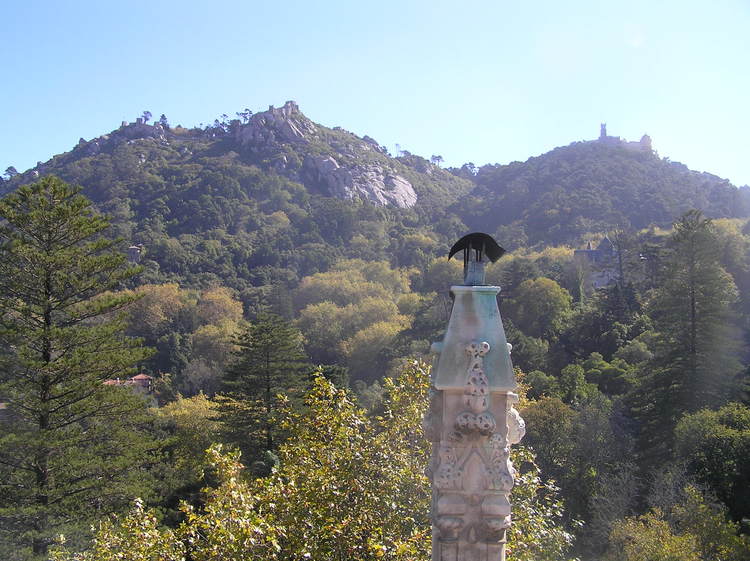 PA260351.JPG