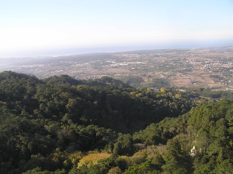 PA260356.JPG