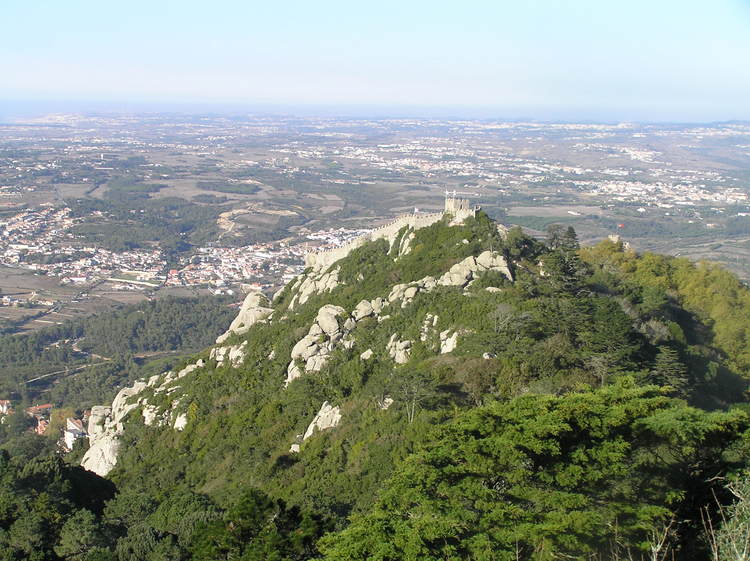 PA260357.JPG