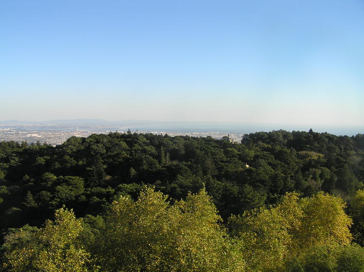 PA260359.JPG