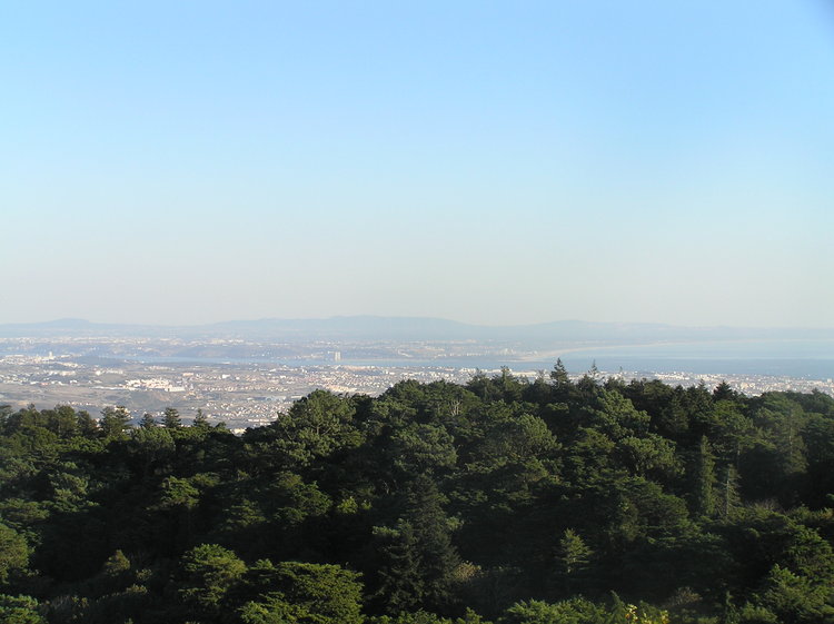PA260360.JPG