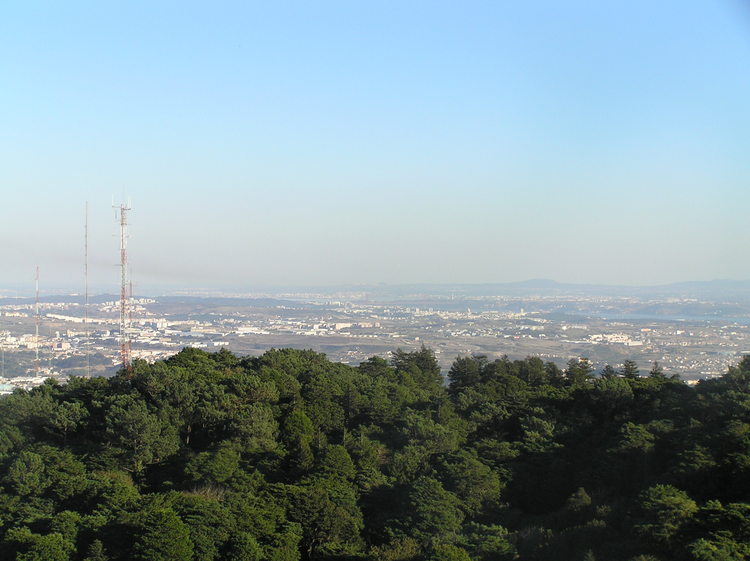 PA260361.JPG