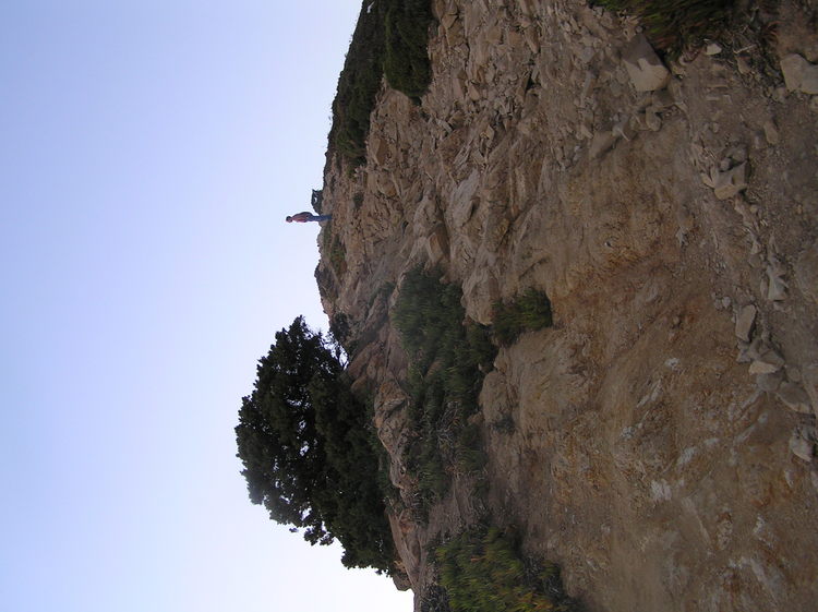 PA260372.JPG