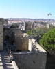PA250333.JPG