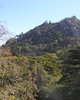 PA260338.JPG