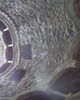 PA260343.JPG