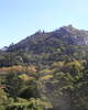 PA260348.JPG