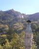 PA260351.JPG