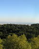 PA260359.JPG