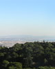 PA260360.JPG