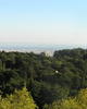 PA260364.JPG