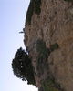 PA260372.JPG
