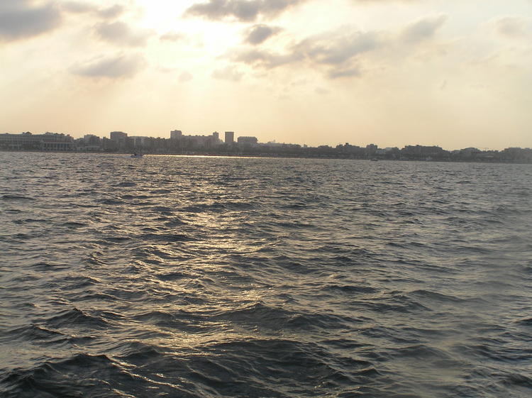 P7210250.JPG